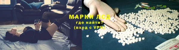 индика Волосово