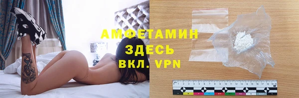 индика Волосово