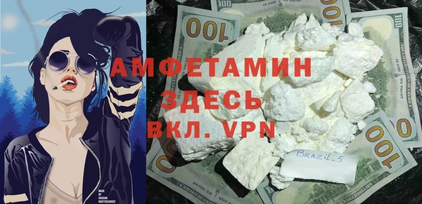 индика Волосово