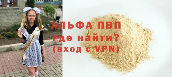 крисы Козельск