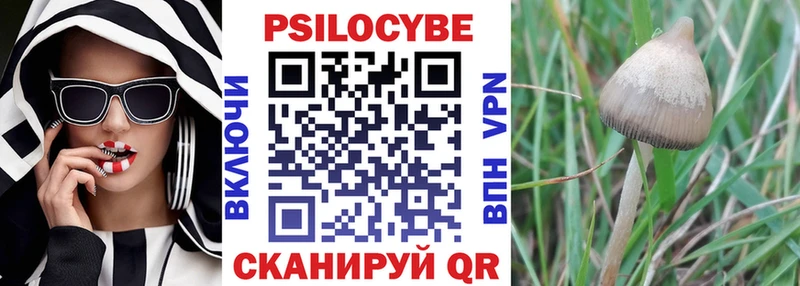 Псилоцибиновые грибы Magic Shrooms наркошоп Ноябрьск